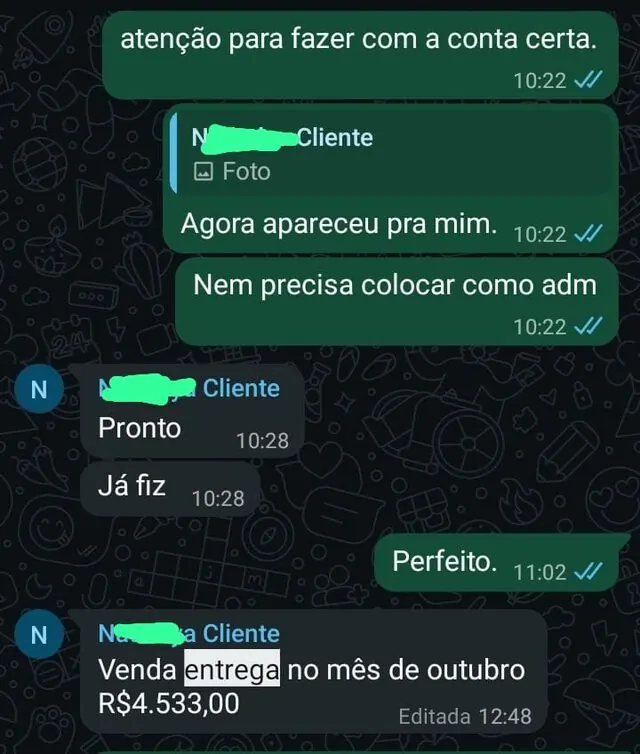 Conversa sobre entrega de projeto com cliente